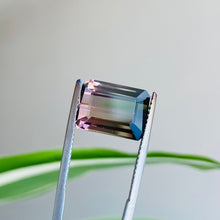 Load image into Gallery viewer, Bi Color Tourmaline 6.23 carat J N Gems