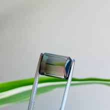 Load image into Gallery viewer, Bi Color Tourmaline 6.23 carat J N Gems
