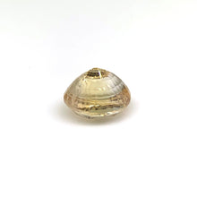 Load image into Gallery viewer, 7.69ct Natural Yellow Sapphire - J N Gems