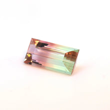 Load image into Gallery viewer, Bi Color Tourmaline 24.83 carat - J N Gems