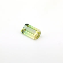 Load image into Gallery viewer, Bi Color Tourmaline 6.22 carat Natural - J N Gems