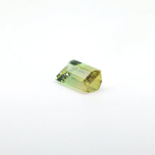 Load image into Gallery viewer, Bi Color Tourmaline 6.22 carat Natural - J N Gems
