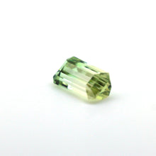 Load image into Gallery viewer, Bi Color Tourmaline 7.25 carat Natural - J N Gems
