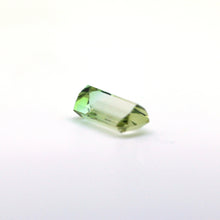 Load image into Gallery viewer, Bi Color Tourmaline 7.25 carat Natural - J N Gems