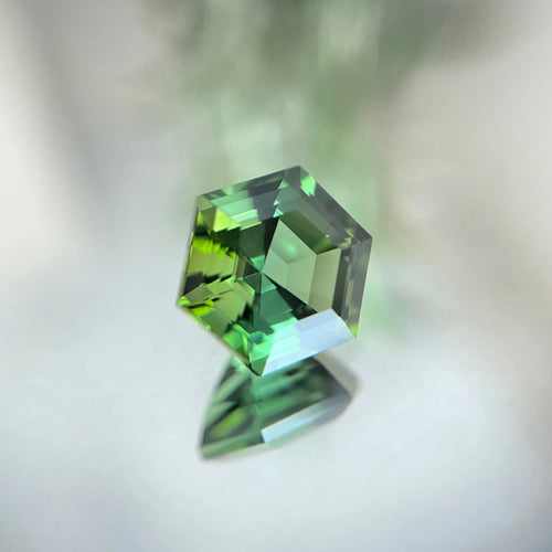 2.97 carat Natural Green Tourmaline jngems