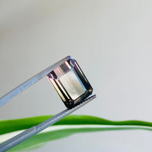 画像をギャラリービューアに読み込む, Bi Color Tourmaline 6.23 carat - J N Gems
