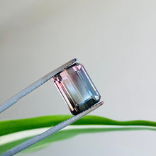 画像をギャラリービューアに読み込む, Bi Color Tourmaline 6.23 carat - J N Gems
