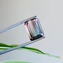 画像をギャラリービューアに読み込む, Bi Color Tourmaline 6.23 carat - J N Gems
