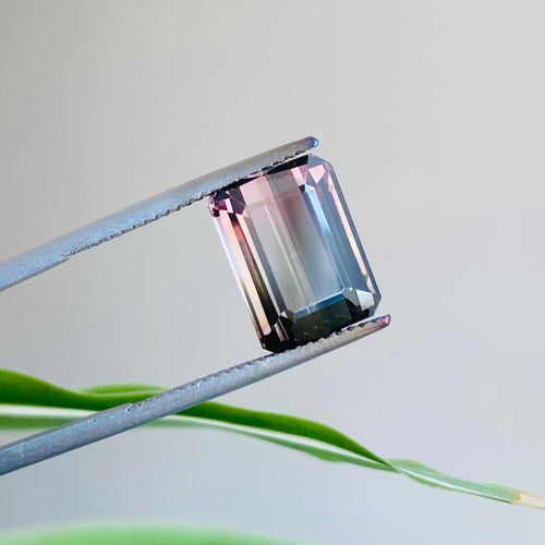 Bi Color Tourmaline 6.23 carat - J N Gems
