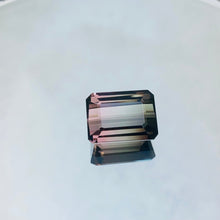 画像をギャラリービューアに読み込む, Bi Color Tourmaline 6.23 carat - J N Gems
