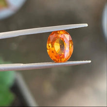 画像をギャラリービューアに読み込む, 2.83 carat Natural Yellow Sapphire - J N Gems
