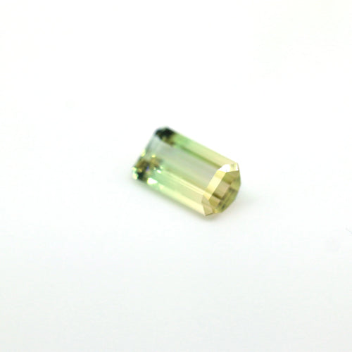 6.22ct Natural Bi Color Tourmaline freeshipping - J N Gems