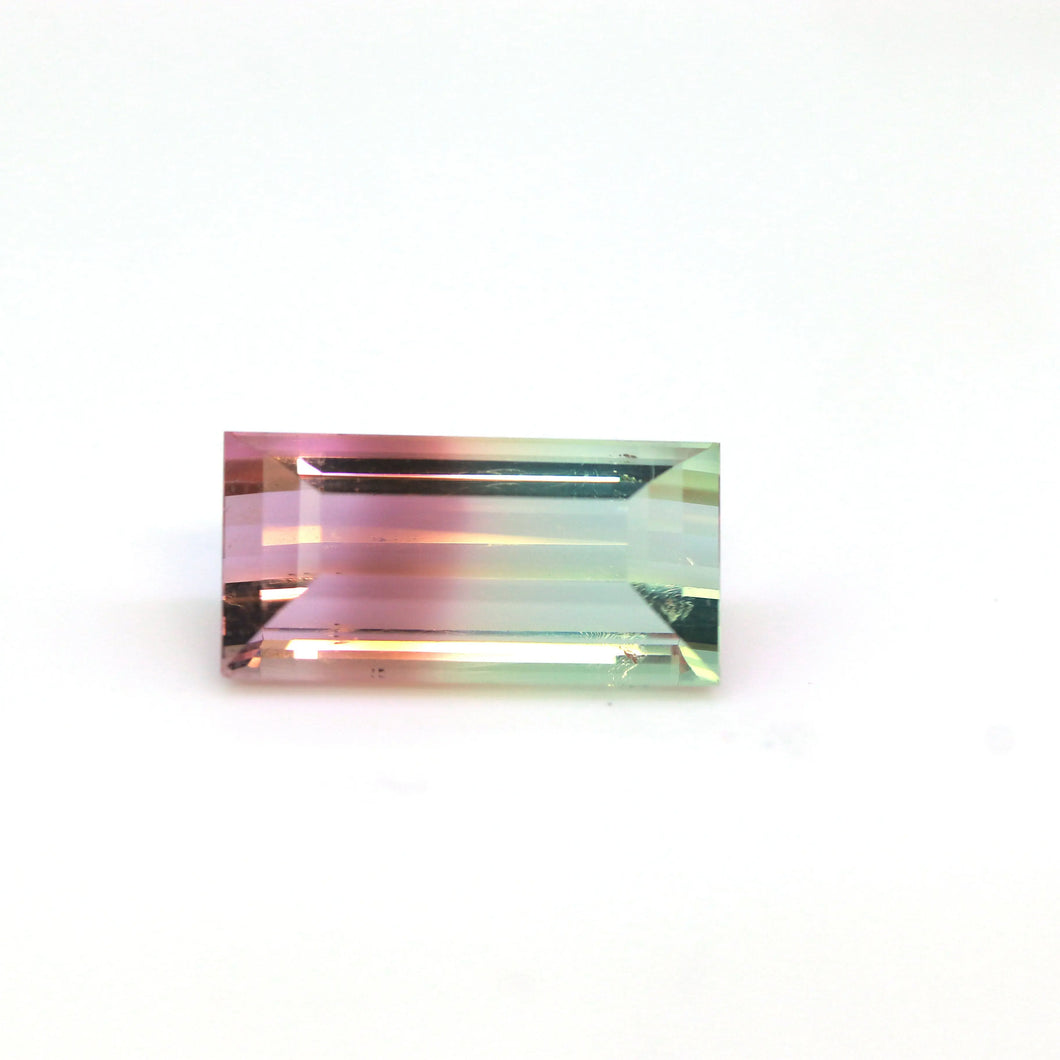 24.83ct Natural Bi Color Tourmaline freeshipping - J N Gems