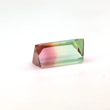 Load image into Gallery viewer, 30.03ct Natural Bi Color Tourmaline freeshipping - J N Gems
