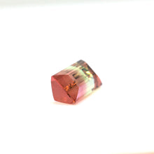 Load image into Gallery viewer, Bi Color Tourmaline 24.83 carat - J N Gems
