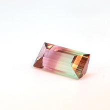 Load image into Gallery viewer, Bi Color Tourmaline 24.83 carat - J N Gems
