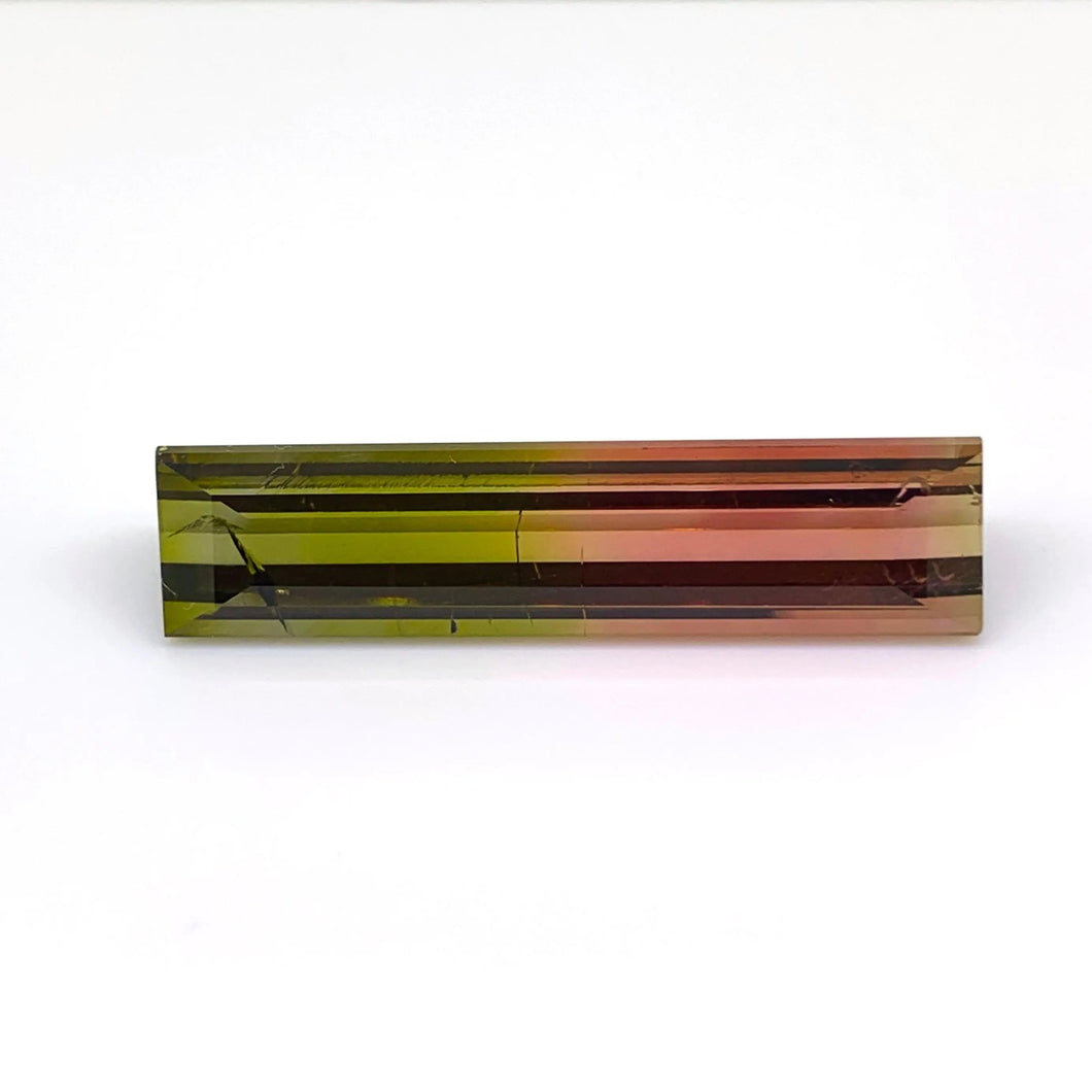 Bi Color Tourmaline 28.38 carat Natural - J N Gems