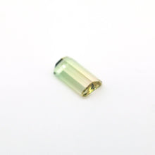 画像をギャラリービューアに読み込む, Bi Color Tourmaline 6.22 carat Natural - J N Gems
