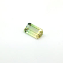 画像をギャラリービューアに読み込む, Bi Color Tourmaline 6.22 carat Natural - J N Gems
