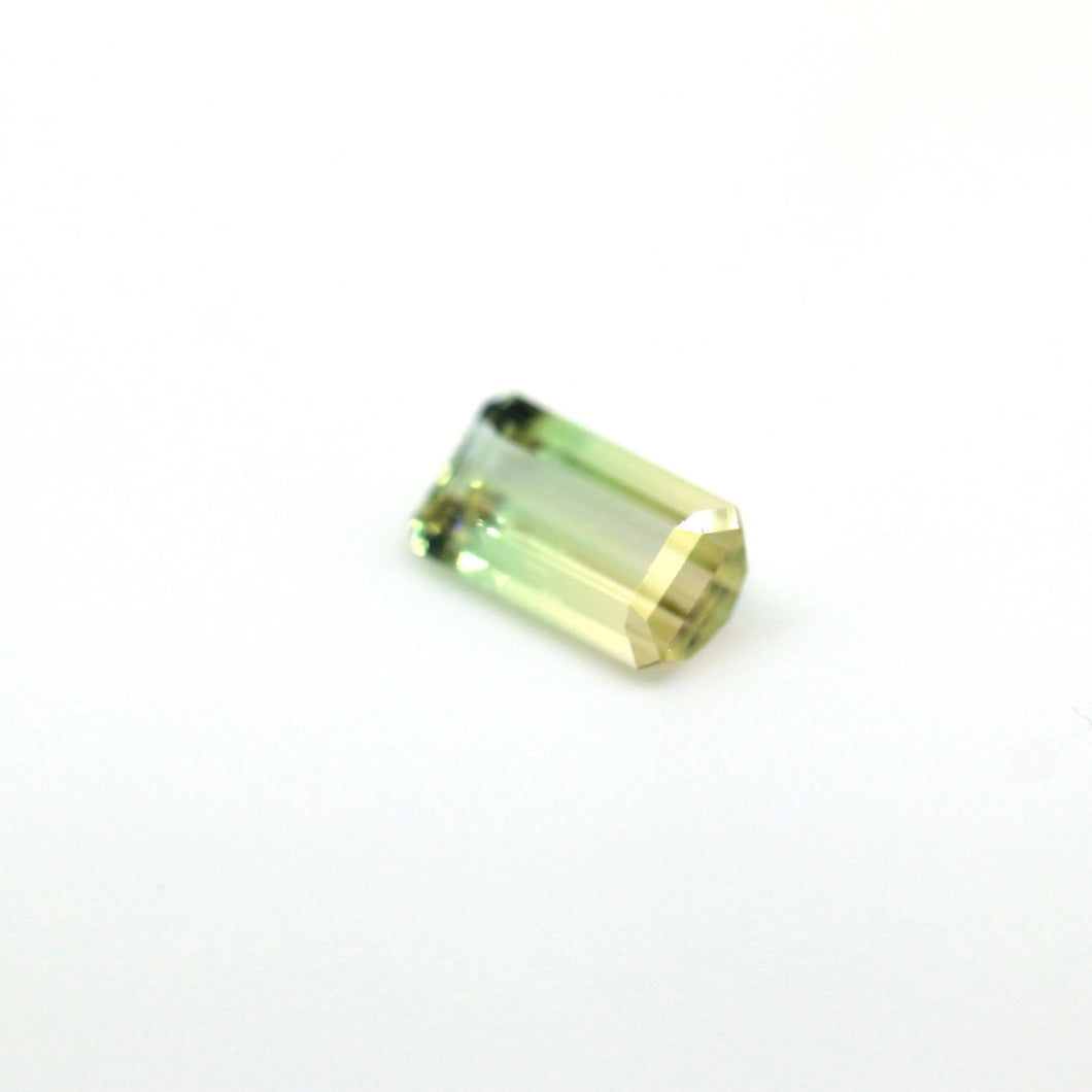 Bi Color Tourmaline 6.22 carat Natural - J N Gems