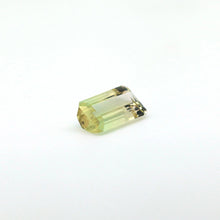 画像をギャラリービューアに読み込む, Bi Color Tourmaline 6.22 carat Natural - J N Gems
